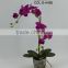 potted plant artificial orchid flowers