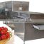 High Quality nut fruit Microwave Dryer With CE