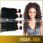 2016 New Premium Jinbang Hair Factory Direct Kinky Curly Afro Kinky Bulk Human Hair