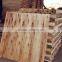 Wood veneers for ash bintangor okoume oak birch face