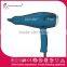 Salon professional hair dryer