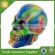 Resin Personalized Human Skull Piggy Bank Money Boxes