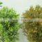 factory direct air bonsai, cheap wholesale artificial flowers