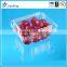 Vegetable and fruit plastic packaging blister trays and container