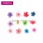 Nail art accessories real dry dried flowers 12 colors in rectangle