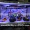 toys display case, led acrylic lighted display case for hot toys, lighted glass display case