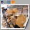 coal gas power low rpm generators