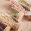 glass storage jars with wooden lid