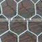 Green/ Black Pvc Coated Lowest Price Chicken Wire Mesh