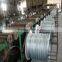 Electro Galvanized Wire for Vineyard