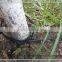 Drop Arrow drippers for water-saving greenhouse irrigation system