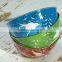Mixing Bowl Colored Printed Stainless Steel