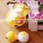 Eco-Friendly Disposable Round Shape Plastic Clear Box