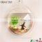 new design fashion round acrylic aquarium
