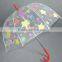 Promotional transparent umbrella