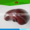 High quality life size human kidney model