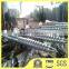 Helical screw piles