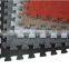 24"x24" Carpet Interlocking EVA Foam Mat