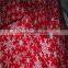 No MOQ Custom Digital Cotton Printing Fabric