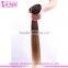 Made in China Silky Straight Two Tone Ombre Clip in Hair Extensions for White Women