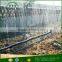 Irrigation micro spray tape for vegetables or nursery