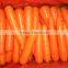 New Carrot for Vietnam Market