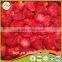 Frozen Strawberries America M13 25-35mm freezing strawberry