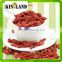 Factory direct supply fiyat goji berries