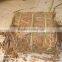Hot sale 1kg customised cassia cinnamon supplier with top quality