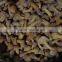 china dried mushroom with stem