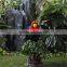 New Zealand's Indigenous parrots birds for sale small