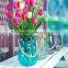 glass Vase clear glass Flowerpot with hemp string handle