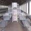 Automatic Chicken Broiler Cage for Chicken Farm with High Quality