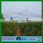 100% Virgin HDPE With UV Resistant Grape Support Net