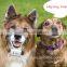 2016 Cheap Price Pet GPS Tracker With Free Platform Service Smart Waterproof Dog GPS Tracker