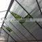 Sturdy & Durable Twin wall polycarbonate commercial greenhouse for saleHX65126-2