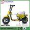2015 popular 48V 350W ELECTRIC SCOOTER FSD350DH with CE approval