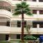 SJ2017200009 hot sale outdoor decorative fake Washington plastic date palm tree