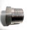 Round Shape and Cap Type Stainless Steel Bull Plug Square Plug Pipe Fitting