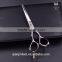 Black Multi-function Hair Scissor Adhesive Tape Cutter Plastic Pen Holder of Item JC835
