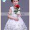 Cheap Vietnam Girls fancy dress pink princess party dresses flower shining Performance girls Fluffy dress