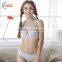 HSZ-2248 Lovely Girl Bra And Panty Set Sexy Photos New Design 2017 Fancy Push Up Bra Women Underwear Hot Penty Lady Lingerie