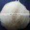 Factory wholesale Carded and Combed Cashmere Fibre White 15.5mic/36-38mm