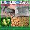 Professional Complete Walnut Macadamia nut,Hawaii nut,Queensland nut peeling machine