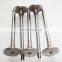 KTA19 Intake valve 207241