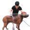 Pet cleaning supplies adjustable removable dog grooming shower and Brushes
