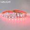 smd 5050 rgb led strip with remote control and led driver complete set