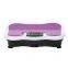 2020 popular design whole body vibration machine