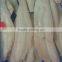 frozen Cod healthfood, seafood cod fillet