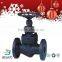 Flange Forged Steel Globe Valve JIS / API Standard